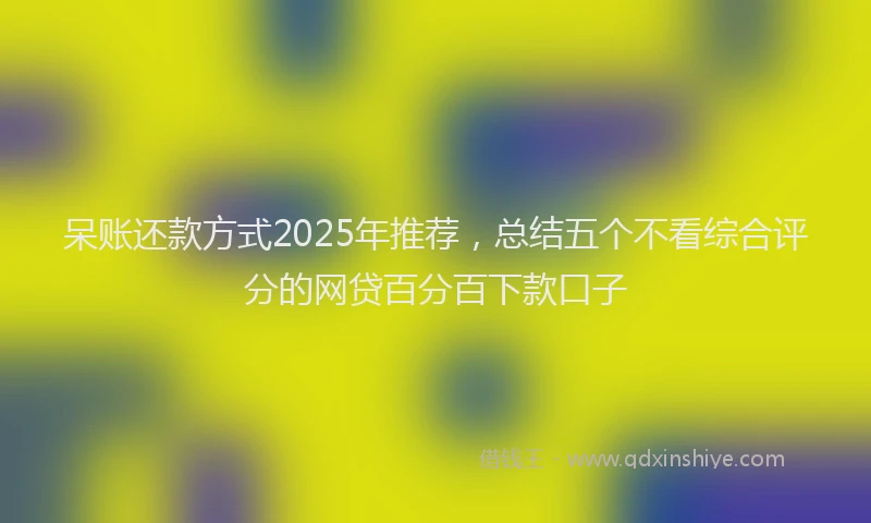 呆账还款方式2025年推荐，总结五个不看综合评分的网贷百分百下款口子