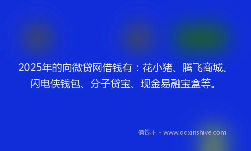 2025年的向微贷网借钱有：花小猪、腾飞商城、闪电侠钱包、分子贷宝、现金易融宝盒等。