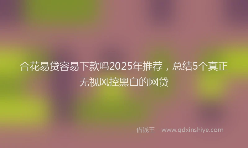 合花易贷容易下款吗2025年推荐，总结5个真正无视风控黑白的网贷