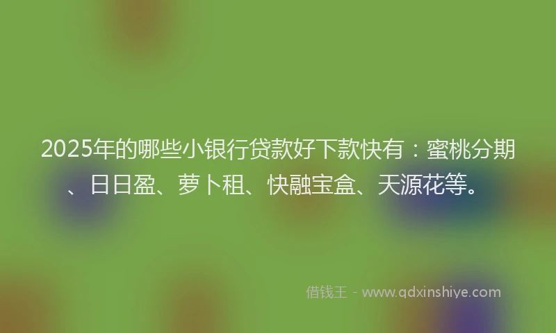 2025年的哪些小银行贷款好下款快有：蜜桃分期、日日盈、萝卜租、快融宝盒、天源花等。