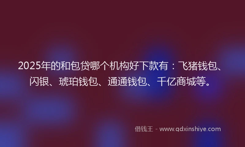 2025年的和包贷哪个机构好下款有：飞猪钱包、闪银、琥珀钱包、通通钱包、千亿商城等。