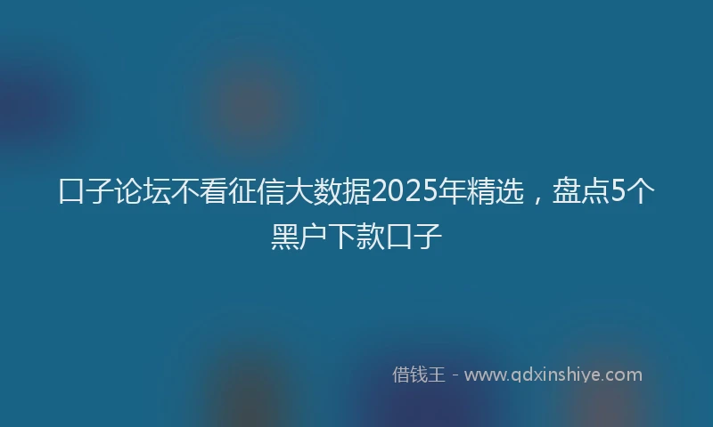 口子论坛不看征信大数据2025年精选，盘点5个黑户下款口子