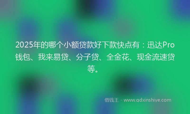 2025年的哪个小额贷款好下款快点有：迅达Pro钱包、我来易贷、分子贷、全金花、现金流速贷等。