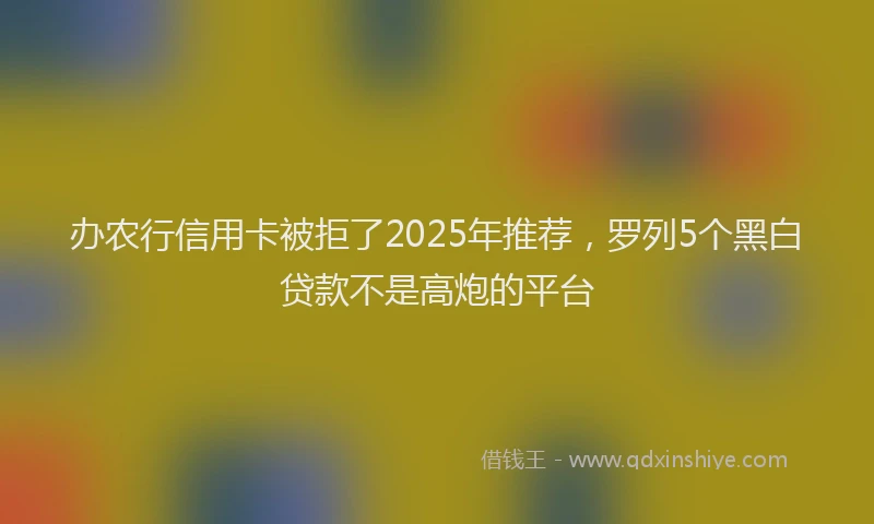办农行信用卡被拒了2025年推荐，罗列5个黑白贷款不是高炮的平台