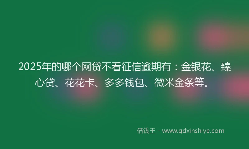 2025年的哪个网贷不看征信逾期有：金银花、臻心贷、花花卡、多多钱包、微米金条等。