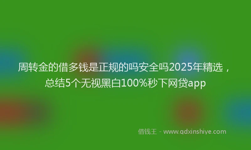 周转金的借多钱是正规的吗安全吗2025年精选，总结5个无视黑白100%秒下网贷app