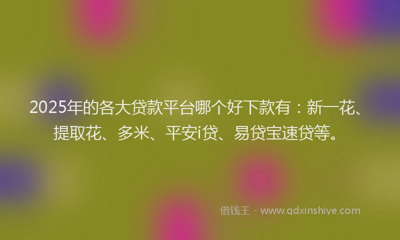 2025年的各大贷款平台哪个好下款有：新一花、提取花、多米、平安i贷、易贷宝速贷等。