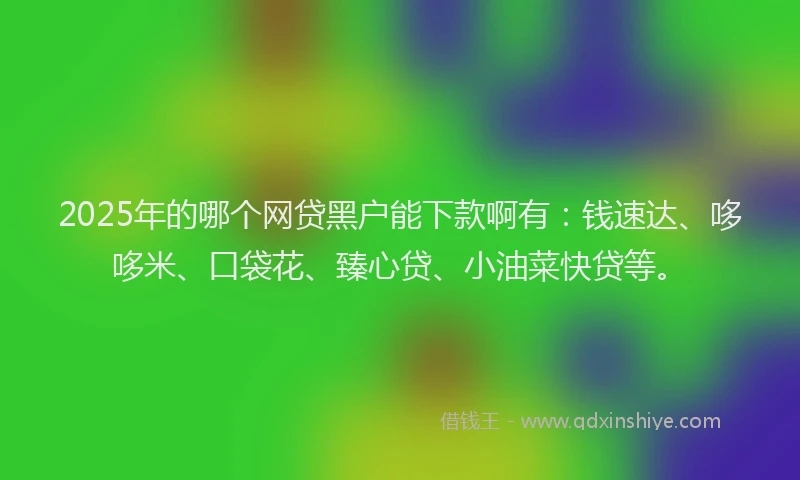 2025年的哪个网贷黑户能下款啊有：钱速达、哆哆米、口袋花、臻心贷、小油菜快贷等。