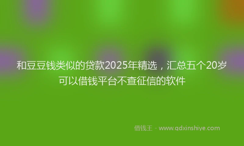 和豆豆钱类似的贷款2025年精选，汇总五个20岁可以借钱平台不查征信的软件