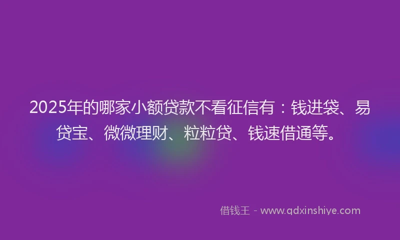 2025年的哪家小额贷款不看征信有：钱进袋、易贷宝、微微理财、粒粒贷、钱速借通等。