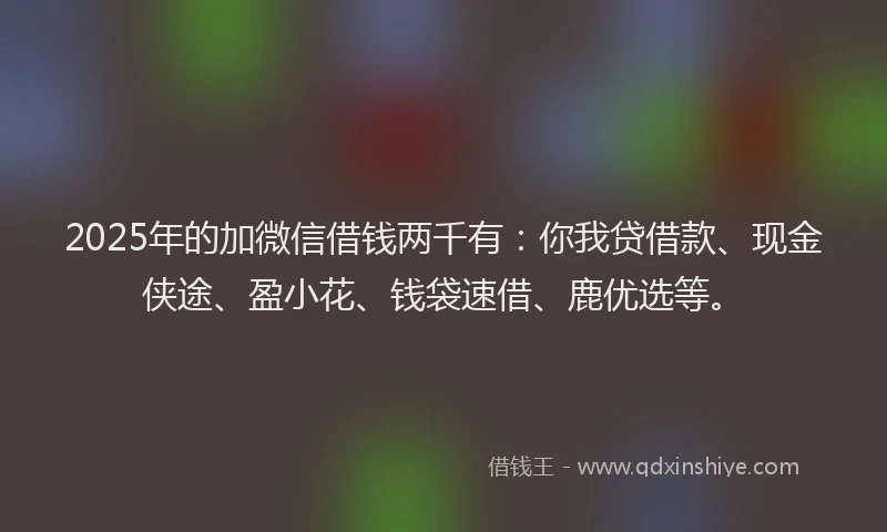 2025年的加微信借钱两千有：你我贷借款、现金侠途、盈小花、钱袋速借、鹿优选等。