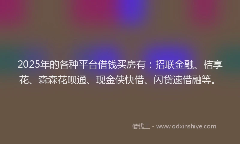 2025年的各种平台借钱买房有：招联金融、桔享花、森森花呗通、现金侠快借、闪贷速借融等。