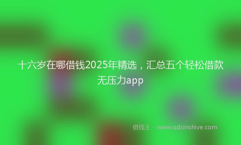 十六岁在哪借钱2025年精选，汇总五个轻松借款无压力app
