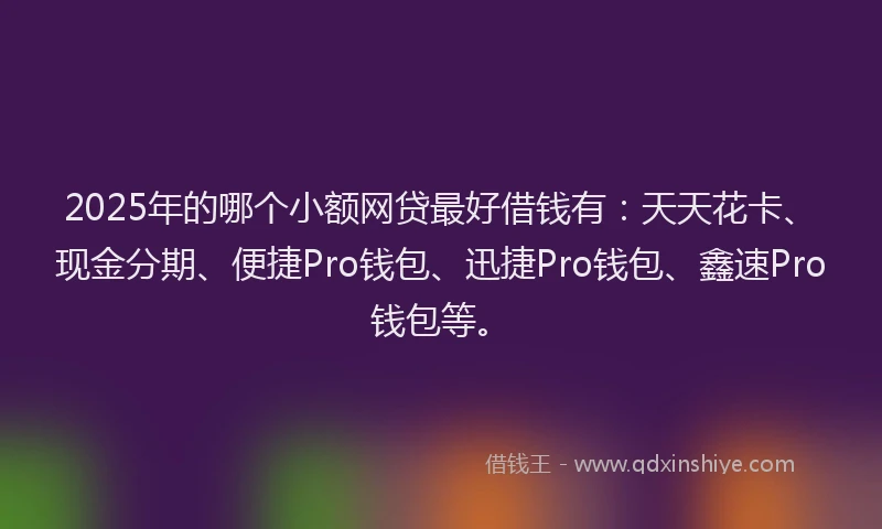 2025年的哪个小额网贷最好借钱有：天天花卡、现金分期、便捷Pro钱包、迅捷Pro钱包、鑫速Pro钱包等。