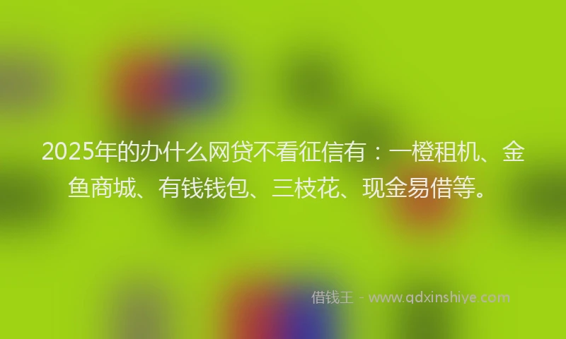 2025年的办什么网贷不看征信有：一橙租机、金鱼商城、有钱钱包、三枝花、现金易借等。