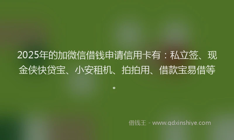 2025年的加微信借钱申请信用卡有：私立签、现金侠快贷宝、小安租机、拍拍用、借款宝易借等。