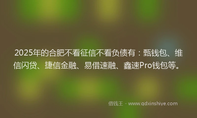 2025年的合肥不看征信不看负债有：甄钱包、维信闪贷、捷信金融、易借速融、鑫速Pro钱包等。