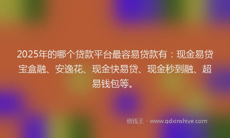 2025年的哪个贷款平台最容易贷款有：现金易贷宝盒融、安逸花、现金快易贷、现金秒到融、超易钱包等。