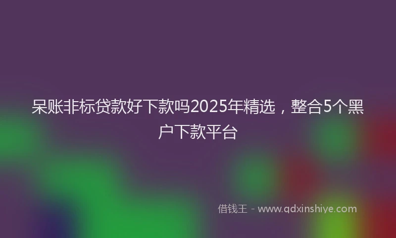 呆账非标贷款好下款吗2025年精选，整合5个黑户下款平台