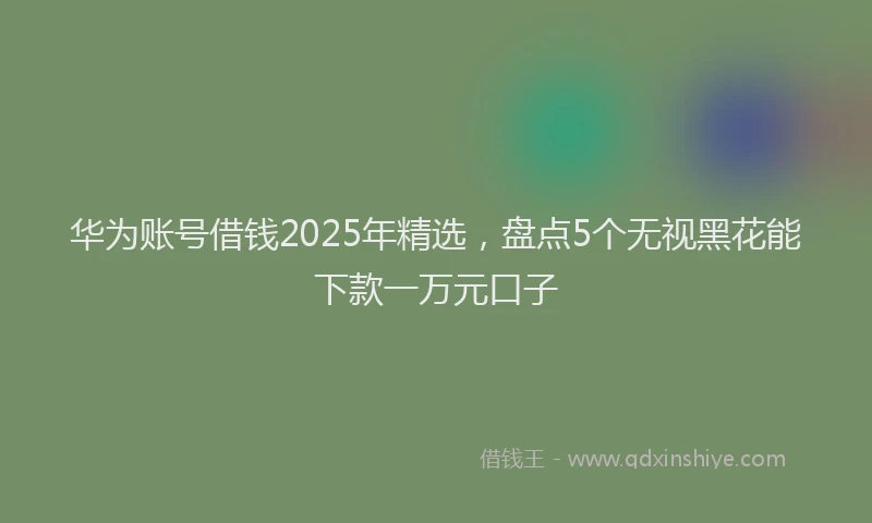 华为账号借钱2025年精选，盘点5个无视黑花能下款一万元口子