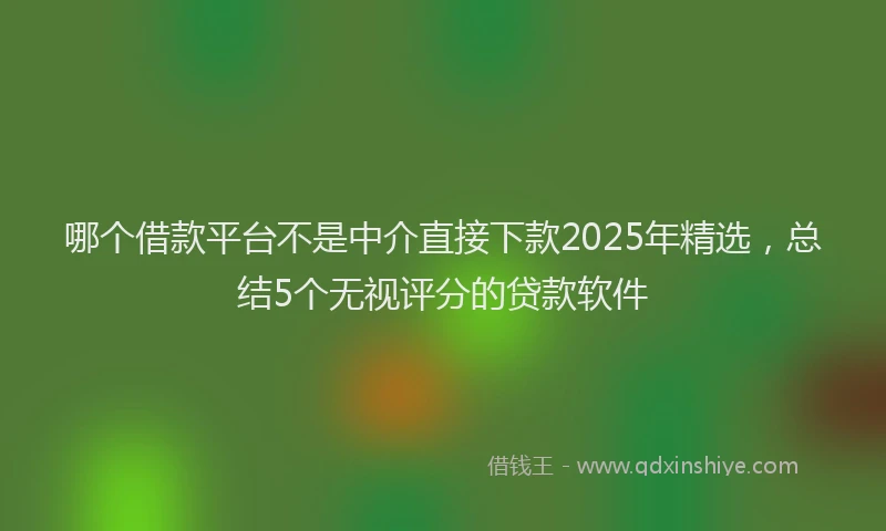 哪个借款平台不是中介直接下款2025年精选，总结5个无视评分的贷款软件