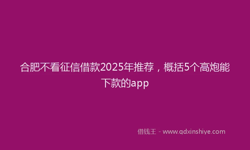 合肥不看征信借款2025年推荐，概括5个高炮能下款的app