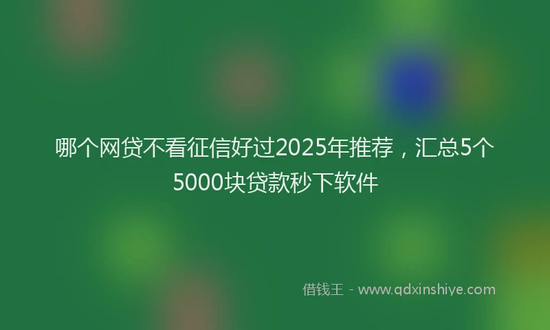 哪个网贷不看征信好过2025年推荐，汇总5个5000块贷款秒下软件