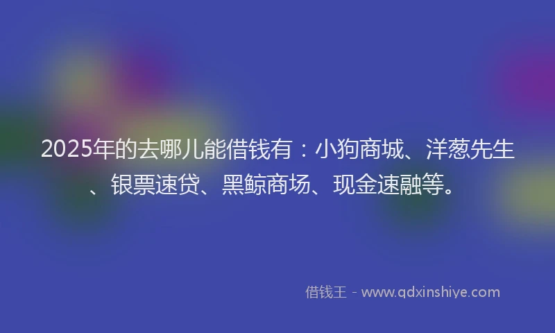2025年的去哪儿能借钱有：小狗商城、洋葱先生、银票速贷、黑鲸商场、现金速融等。