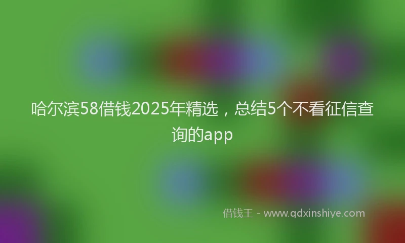 哈尔滨58借钱2025年精选，总结5个不看征信查询的app