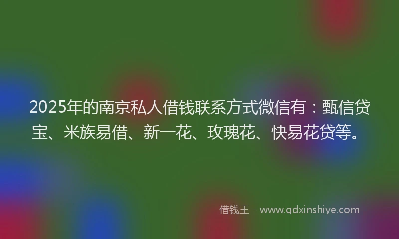 2025年的南京私人借钱联系方式微信有：甄信贷宝、米族易借、新一花、玫瑰花、快易花贷等。
