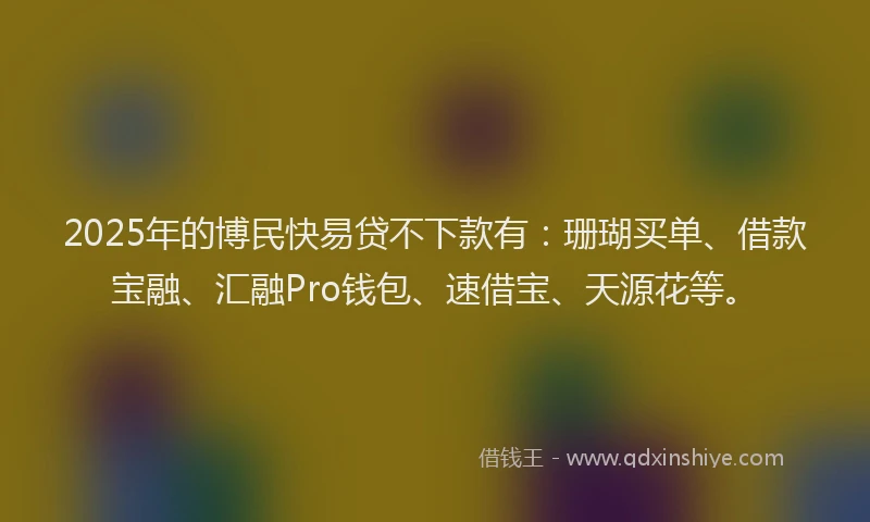 2025年的博民快易贷不下款有：珊瑚买单、借款宝融、汇融Pro钱包、速借宝、天源花等。