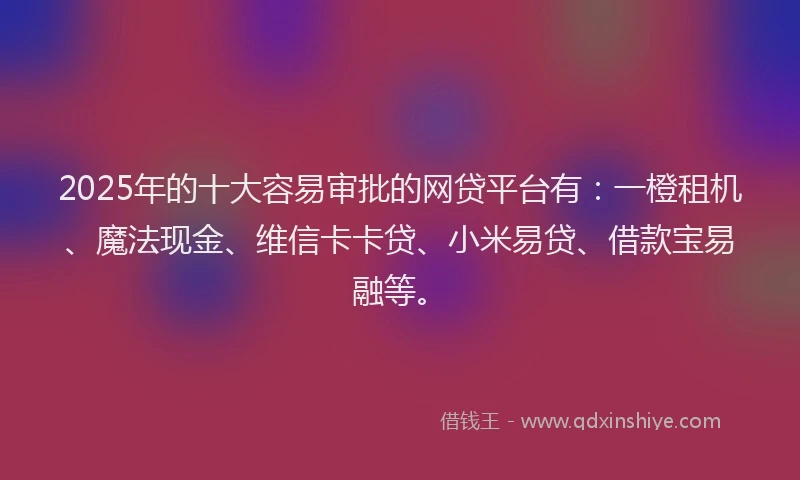 2025年的十大容易审批的网贷平台有：一橙租机、魔法现金、维信卡卡贷、小米易贷、借款宝易融等。