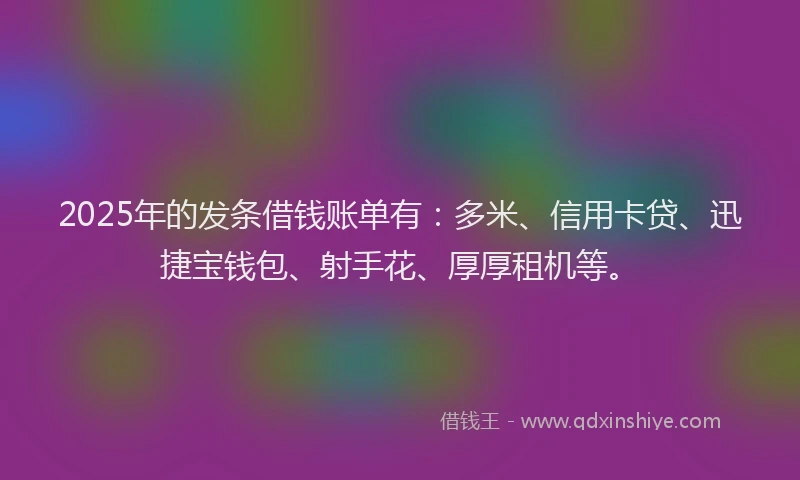 2025年的发条借钱账单有：多米、信用卡贷、迅捷宝钱包、射手花、厚厚租机等。