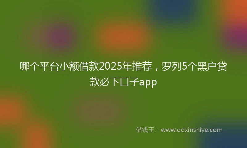 哪个平台小额借款2025年推荐，罗列5个黑户贷款必下口子app