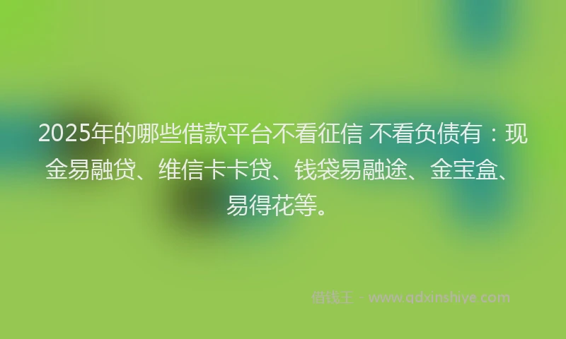 2025年的哪些借款平台不看征信 不看负债有：现金易融贷、维信卡卡贷、钱袋易融途、金宝盒、易得花等。