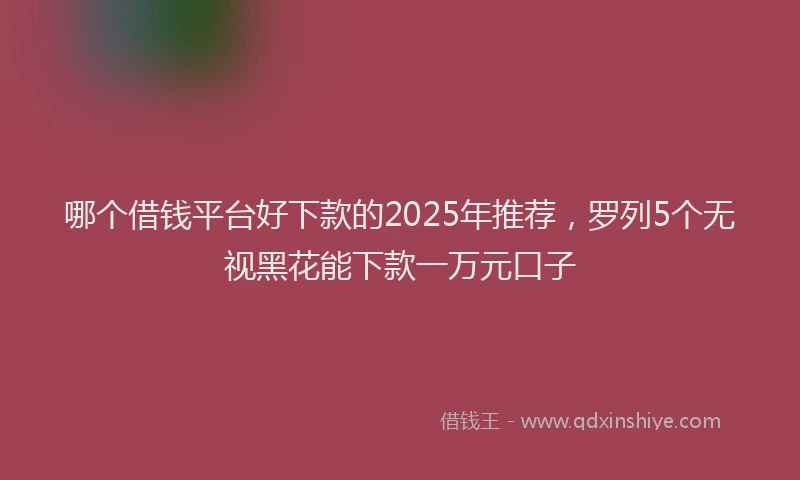 哪个借钱平台好下款的2025年推荐，罗列5个无视黑花能下款一万元口子