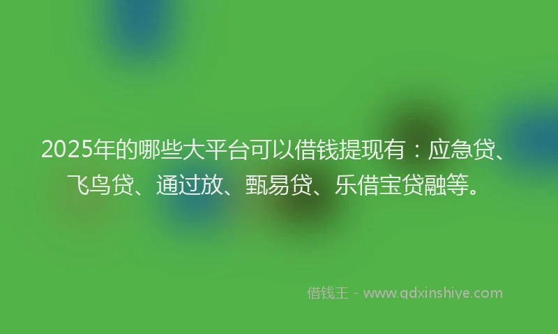 2025年的哪些大平台可以借钱提现有：应急贷、飞鸟贷、通过放、甄易贷、乐借宝贷融等。