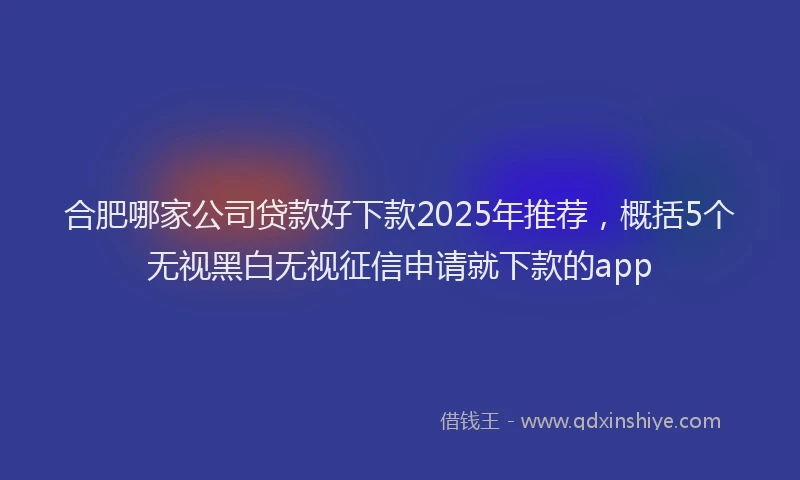 合肥哪家公司贷款好下款2025年推荐，概括5个无视黑白无视征信申请就下款的app