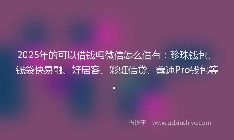 2025年的可以借钱吗微信怎么借有：珍珠钱包、钱袋快易融、好居客、彩虹信贷、鑫速Pro钱包等。