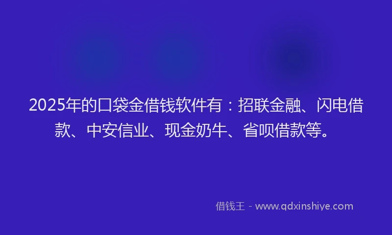 2025年的口袋金借钱软件有：招联金融、闪电借款、中安信业、现金奶牛、省呗借款等。