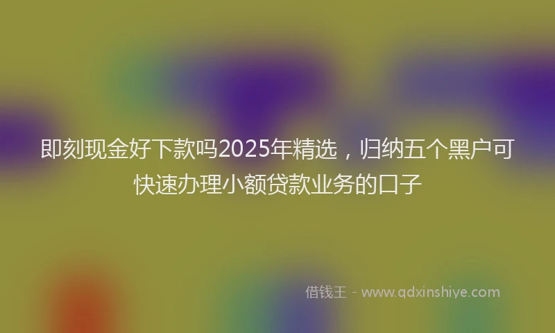 即刻现金好下款吗2025年精选，归纳五个黑户可快速办理小额贷款业务的口子