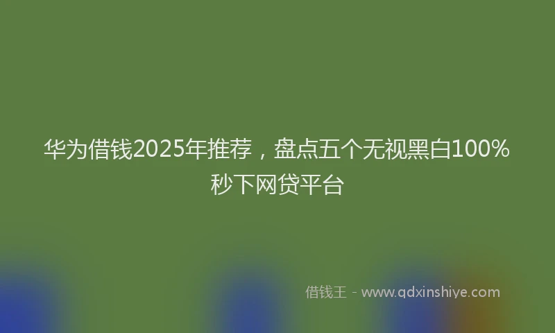 华为借钱2025年推荐，盘点五个无视黑白100%秒下网贷平台