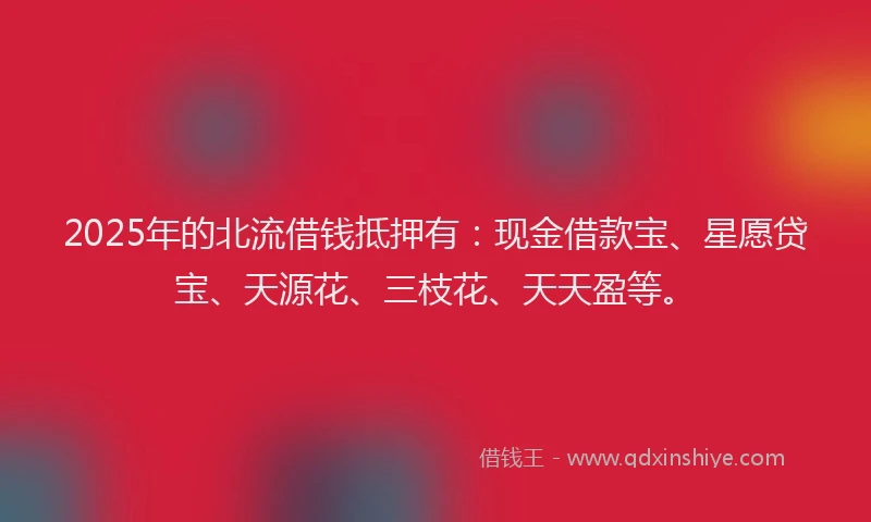 2025年的北流借钱抵押有：现金借款宝、星愿贷宝、天源花、三枝花、天天盈等。