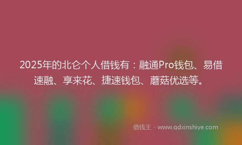 2025年的北仑个人借钱有：融通Pro钱包、易借速融、享来花、捷速钱包、蘑菇优选等。