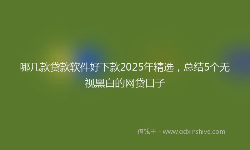 哪几款贷款软件好下款2025年精选，总结5个无视黑白的网贷口子