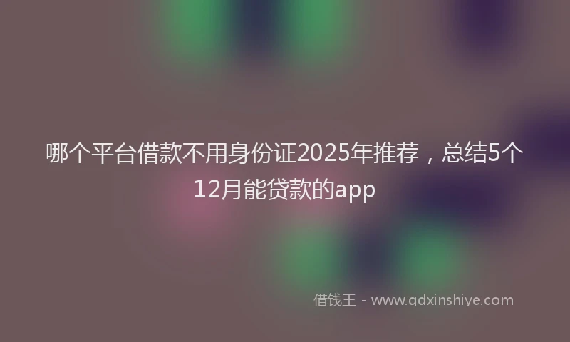 哪个平台借款不用身份证2025年推荐，总结5个12月能贷款的app