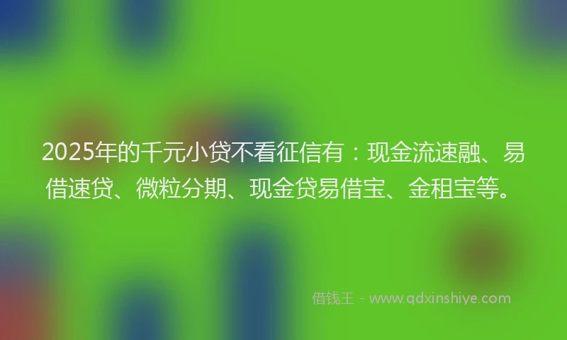 2025年的千元小贷不看征信有：现金流速融、易借速贷、微粒分期、现金贷易借宝、金租宝等。