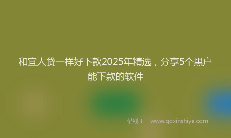 和宜人贷一样好下款2025年精选，分享5个黑户能下款的软件