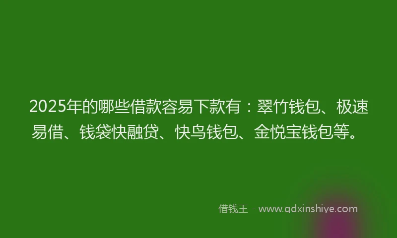 2025年的哪些借款容易下款有：翠竹钱包、极速易借、钱袋快融贷、快鸟钱包、金悦宝钱包等。