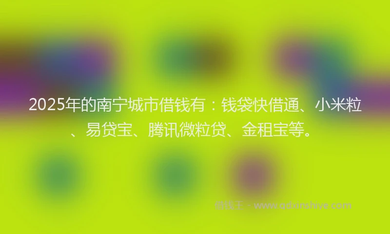 2025年的南宁城市借钱有：钱袋快借通、小米粒、易贷宝、腾讯微粒贷、金租宝等。